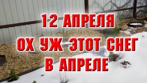 12 апреля. Ох уж этот снег в апреле.