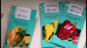 11 сортов сладкого и 2 сорта острого: какие перцы я сажаю в 2021 году