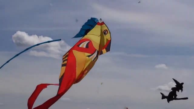 Фестиваль воздушных змеев 2018 смотреть онлайн