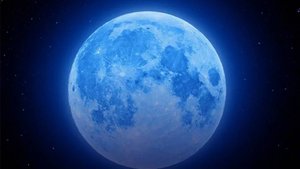 Обновление в Фиш голубая луна!