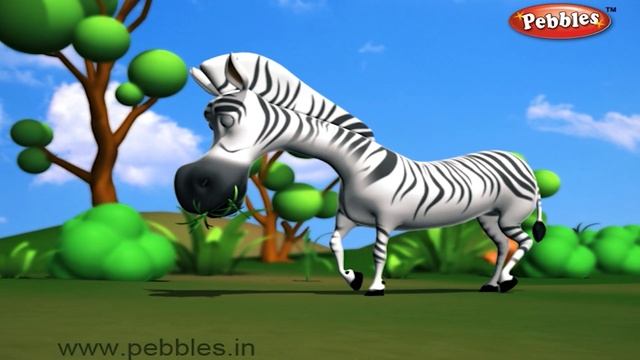 Zebra Song in Marathi and English | Animal Rhymes | Animal Songs | Pebbles Marathi Balgeet