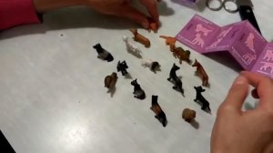 Распаковка собачек Dinky Dogs Собачки Trixy&Troy (T091)