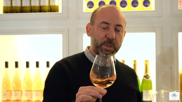 Dégustation Cabernet d'Anjou AOC - Famille CHAUVIN смотреть онлайн