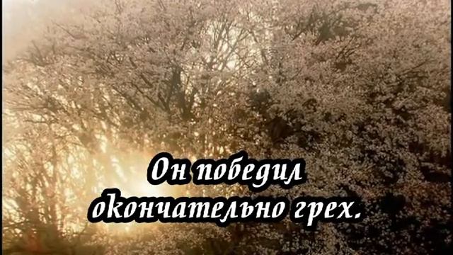 Ксения Лапицкая - Знаешь ли ты(-)
