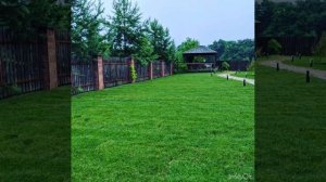 Идеальный газон на вашем участке 👍