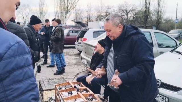 Ярмарка голубей, г Шахтерск, 12.04.2025 смотреть онлайн