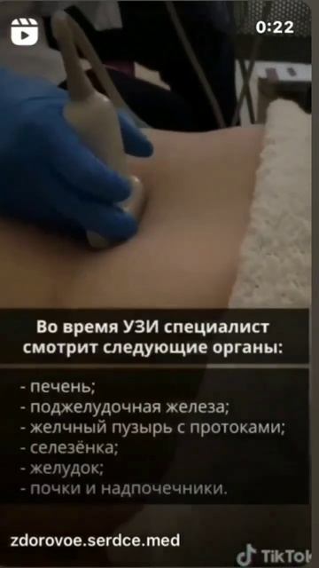УЗИ органов брюшной полости.                                                   #здоровое #узисердце