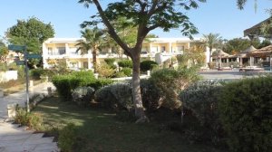 Египет  отель  Катаракт  Резорт