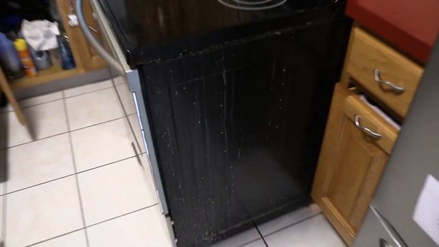 Stove Counter Gap Covers - 10 Second Video Gone Horribly Wrong