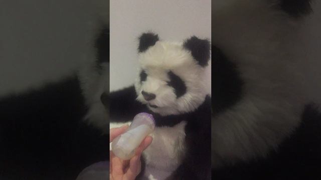 Интерактивна панда LUV FurReal Friends смотреть онлайн