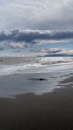 Крым п. Морское 11.04.2025
