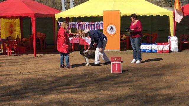 IMG 1715 смотреть онлайн