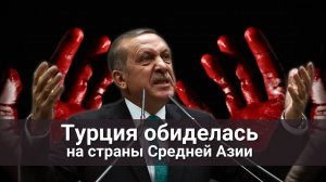 Турция обиделась на страны Средней Азии