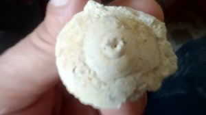 Искусственный мрамор из гипса и глины