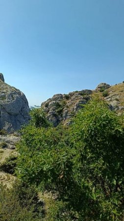 Каменный цветок или зубы дракона / место энергии и силы