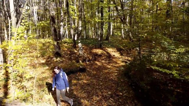 Осінній ліс за кілька кілометрів від Мирополя і Вільхи смотреть онлайн