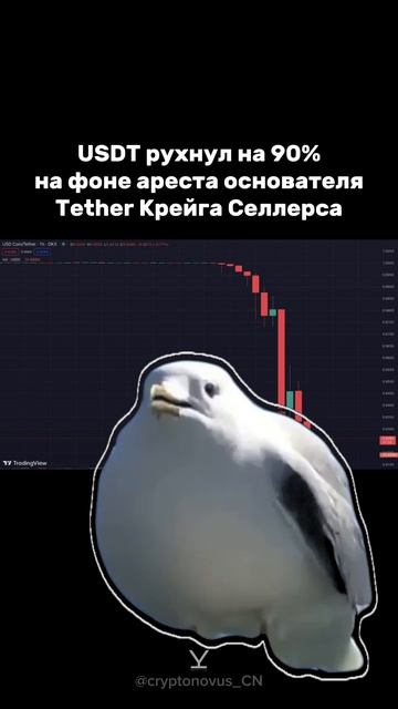 cryptonovus_CN