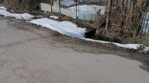 12.04.2025.Усадьба Парк Кино Ляхово. Парк Кошек. Домодедово Затопление придомовых территорий. Усадеб