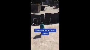 Как заработать деньги в гта 5 10000000$
