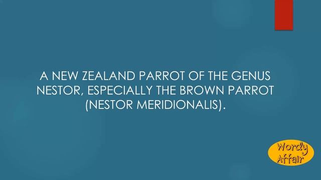 Kaka Meaning смотреть онлайн