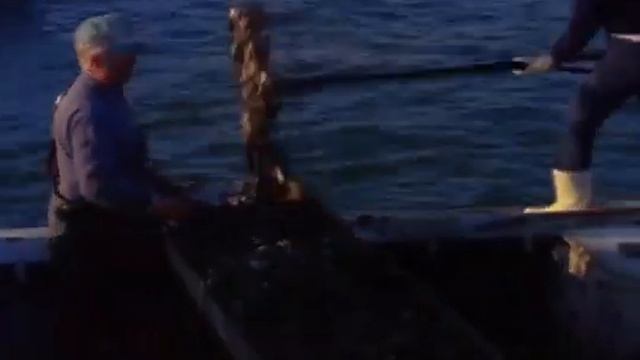 Billy Moore: Chesapeake Boatbuilder (1981) смотреть онлайн