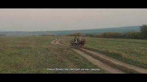 Там, где танцуют стерхи