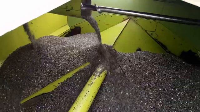 Косим Сонях лимогрейн Комбайном CLAAS Dominator смотреть онлайн