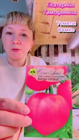 Томаты от 130-160 грамм, Тора, Кистевой удар, Далат, Бычье сердце, Слот, Хади-Гали, Сайт @семко