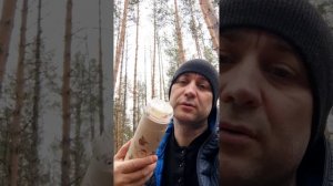 Рязанские леса. Солотча. Пьянишное.