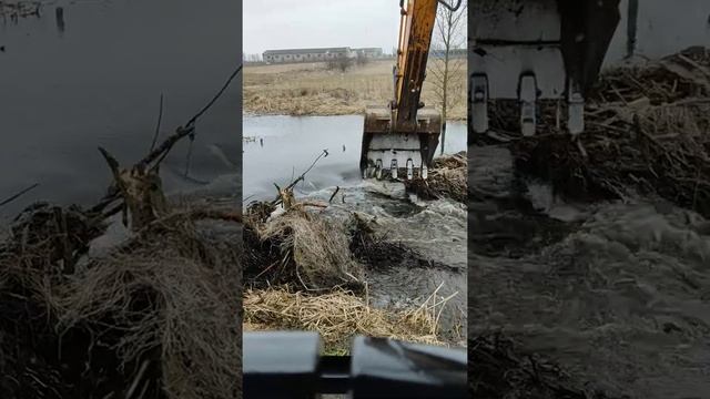 Разбираем бобровую плотину!!! смотреть онлайн