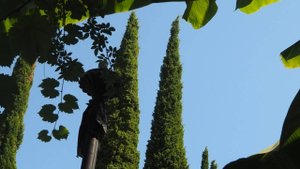 терапия на тему "подавление"