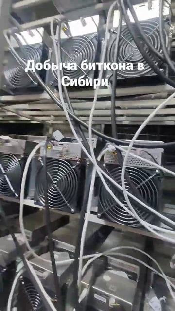 Добыча биткоинов в России смотреть онлайн