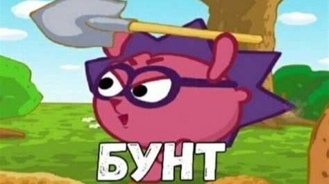 Нарезка Capybara 1
