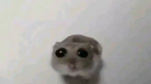 тун тун тун тууун тун тутун тудудун тун тун