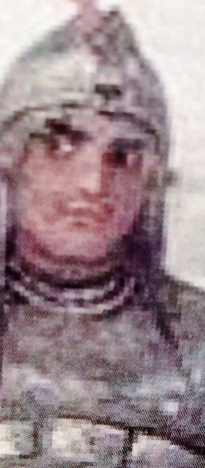 стрим с систрой