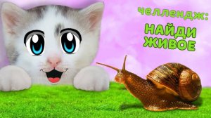 24 ЧАСА в ШКОЛЕ КОТОВ! ЧЕЛЛЕНДЖ КТО БОЛЬШЕ НАЙДЕТ КОТ МАЛЫШ VS КОШКА МУРКА | А ну-ка давай-ка