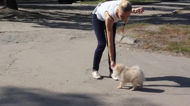 MVI 7721 смотреть онлайн