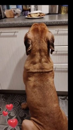 Нет любви более искренней, чем любовь к .......