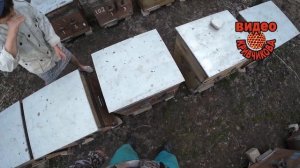 Кормушки и подкормка пчёл