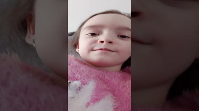 это Стрим