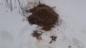 Снт. Отрадное. Муть из швов и со дна. 50 % проблем в колодце это швы и 50 % дно. podkapaev.ru
