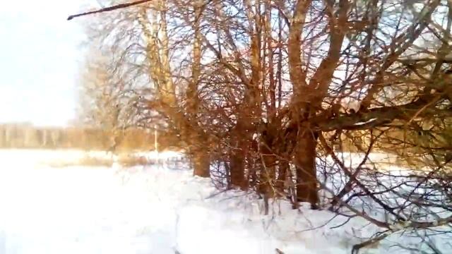 Липовая аллея и пруд в загадочном качкарове.