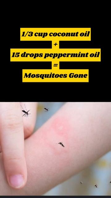 DIY Homemade Mosquito Repellent: Natural Solutions That Really Work! 🦟"