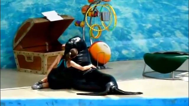 Танец с морским котиком Песня Сени суйем - Гульмира Избасханова смотреть онлайн