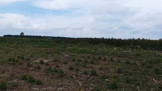 Dji agras mg 1p saat spraying смотреть онлайн