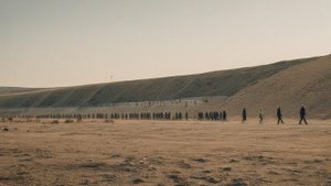 Население Земли - 8 млрд человек