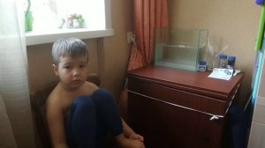 Выращивание рачков Артемии (часть 2)