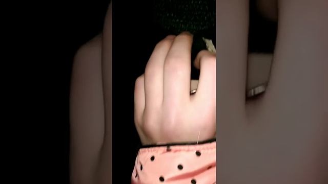МОДНИК ПОЯСНИЛ ЗА ШМОТ!! /СКОЛЬКО СТОИТ ТВОЙ ШМОТ / ЧАСТЬ 1