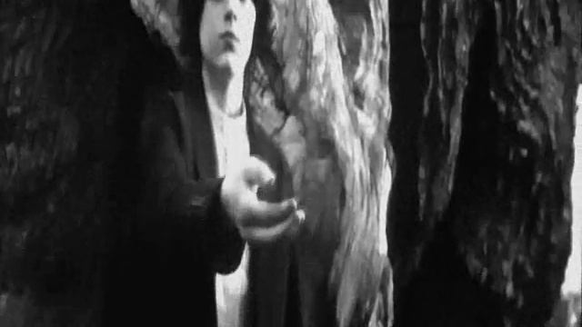 Severus  Lily