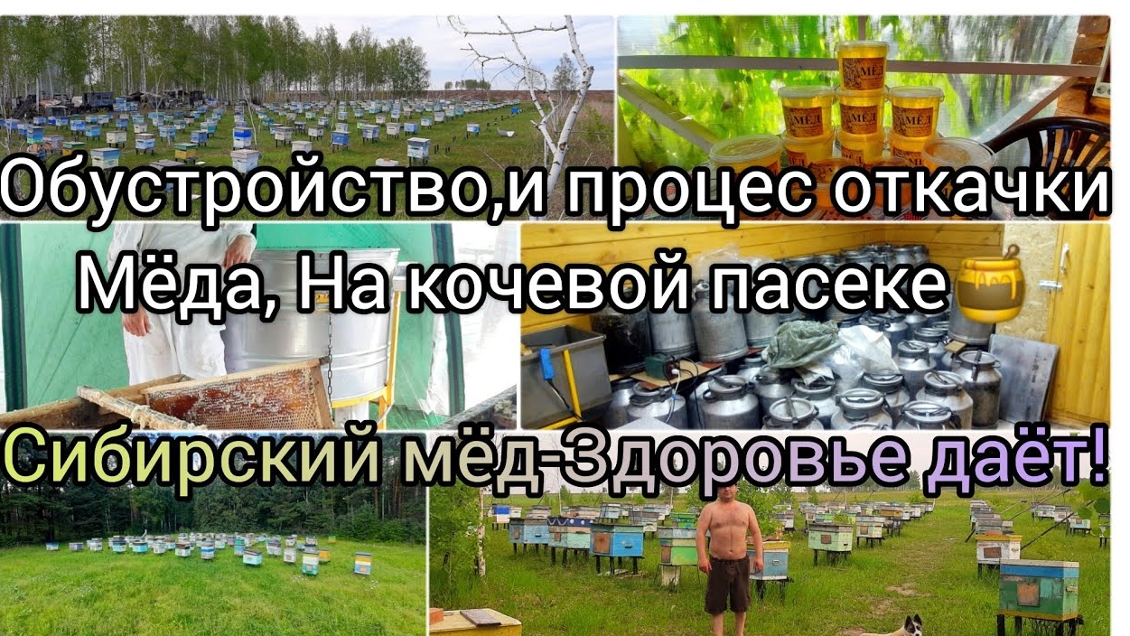 Процесс откачки мёда в 2023 На кочевой пасеки Как мы это обустроили и чем распечатываем медовые соты